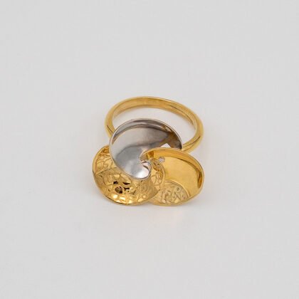 Gold and white ring 18kt (12)