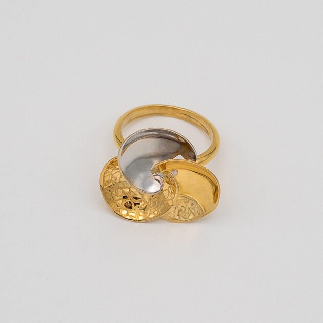 Gold and white ring 18kt (12)
