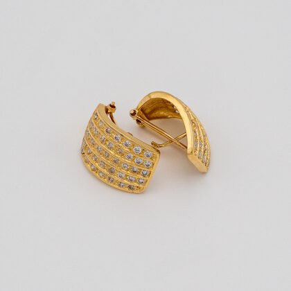 Zirconian Earring