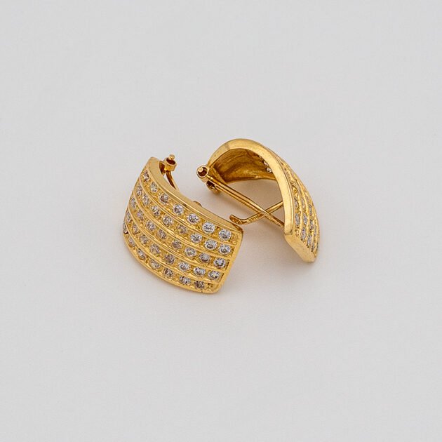 Zirconian Earring